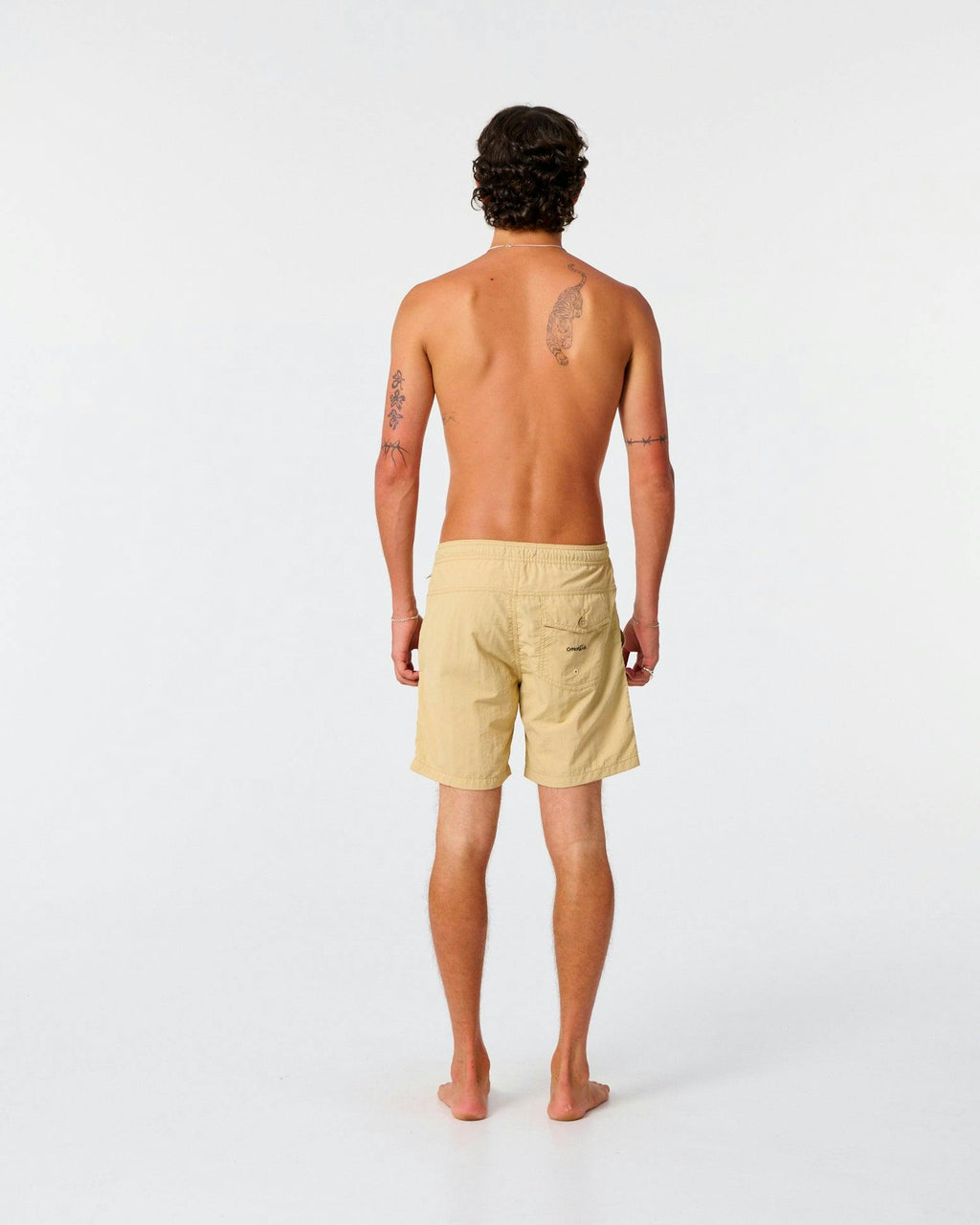Nucleus 16" Trunk - Boulder