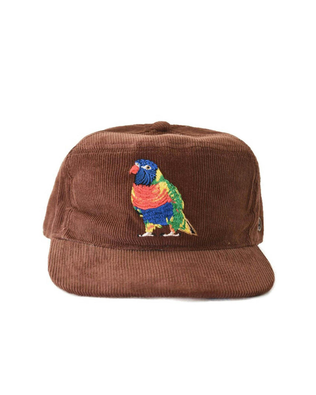 The Stash Cap - Rainbow Lorikeet -  Brown Corduroy