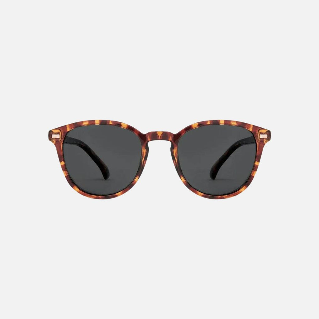 Oslo - Gloss Tort Grey Polarized Lens