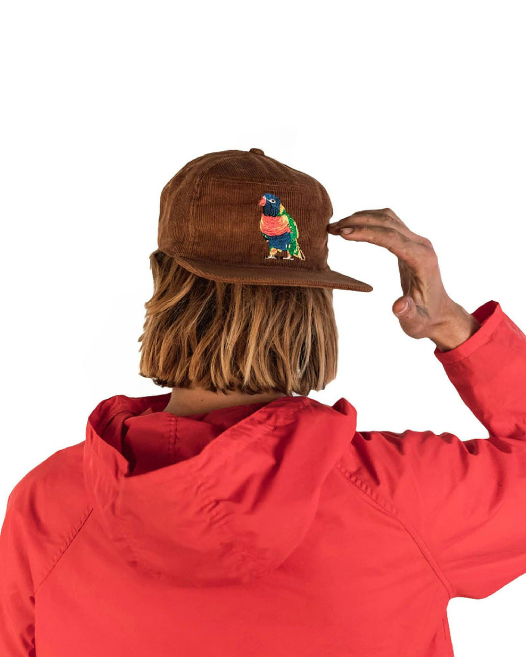The Stash Cap - Rainbow Lorikeet -  Brown Corduroy