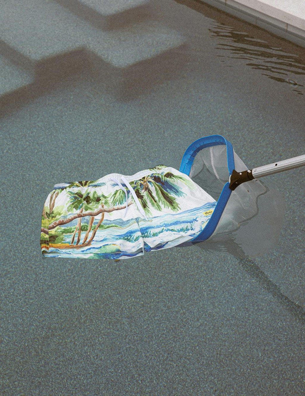 Postcard Swim Short - Blue