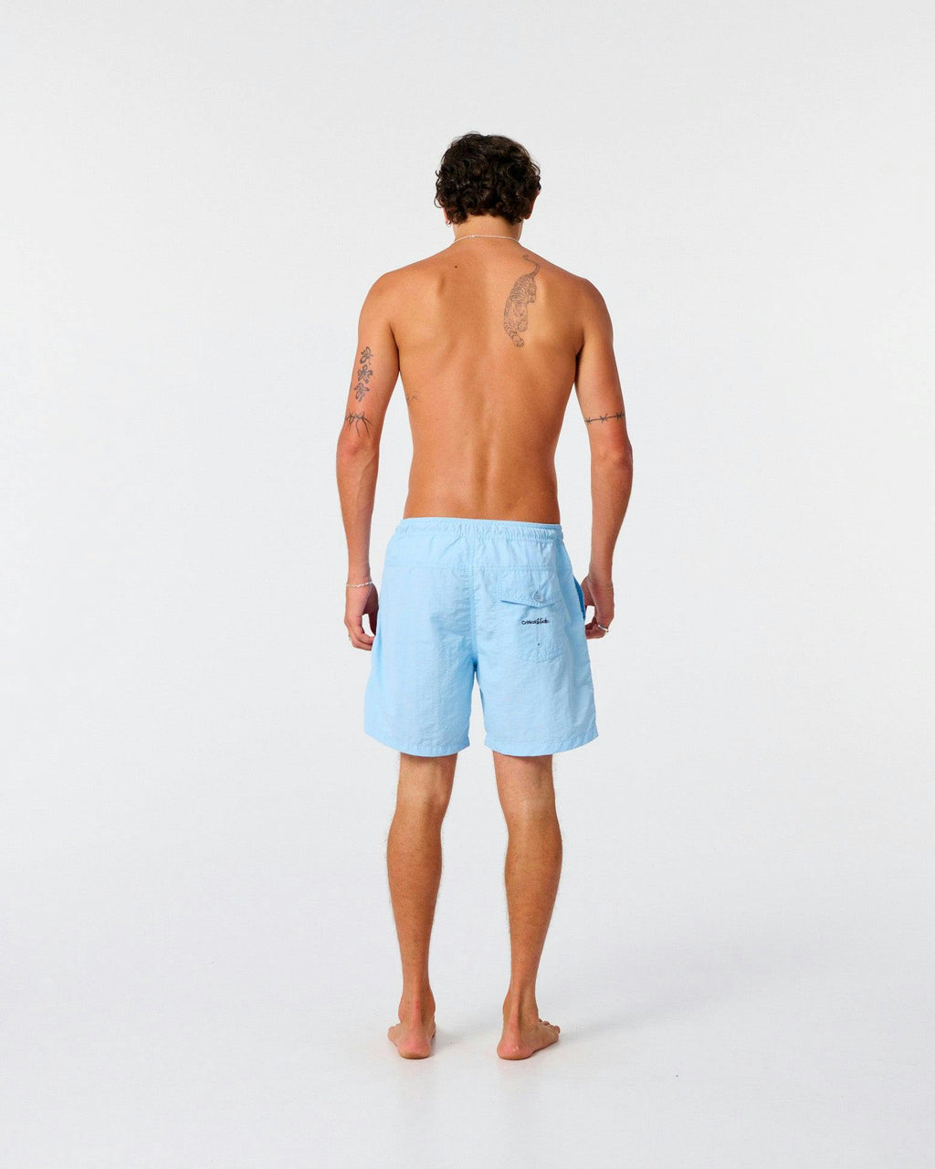 Nucleus 16" Trunk - Powder Blue