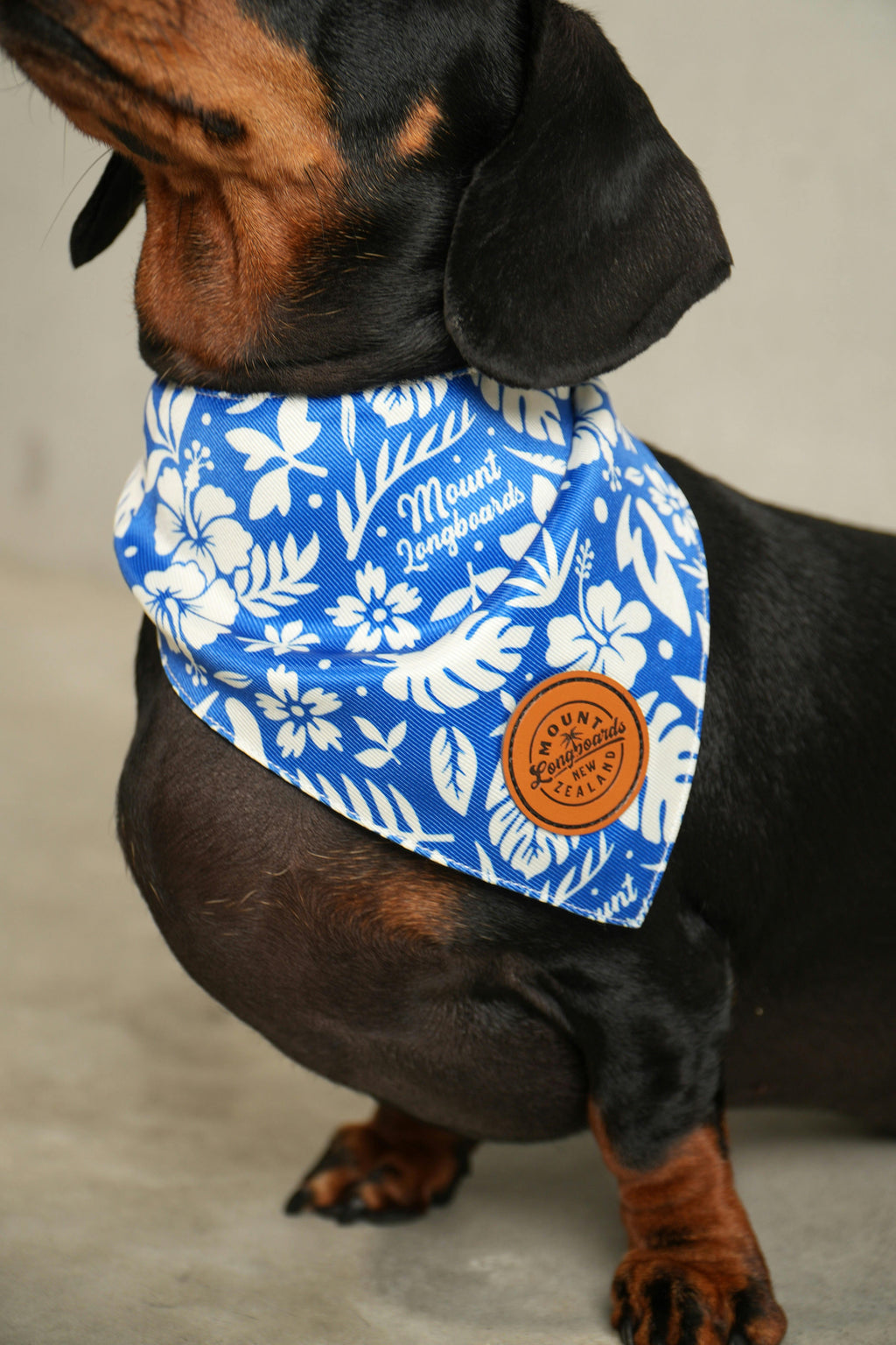 Surf Dog Bandana