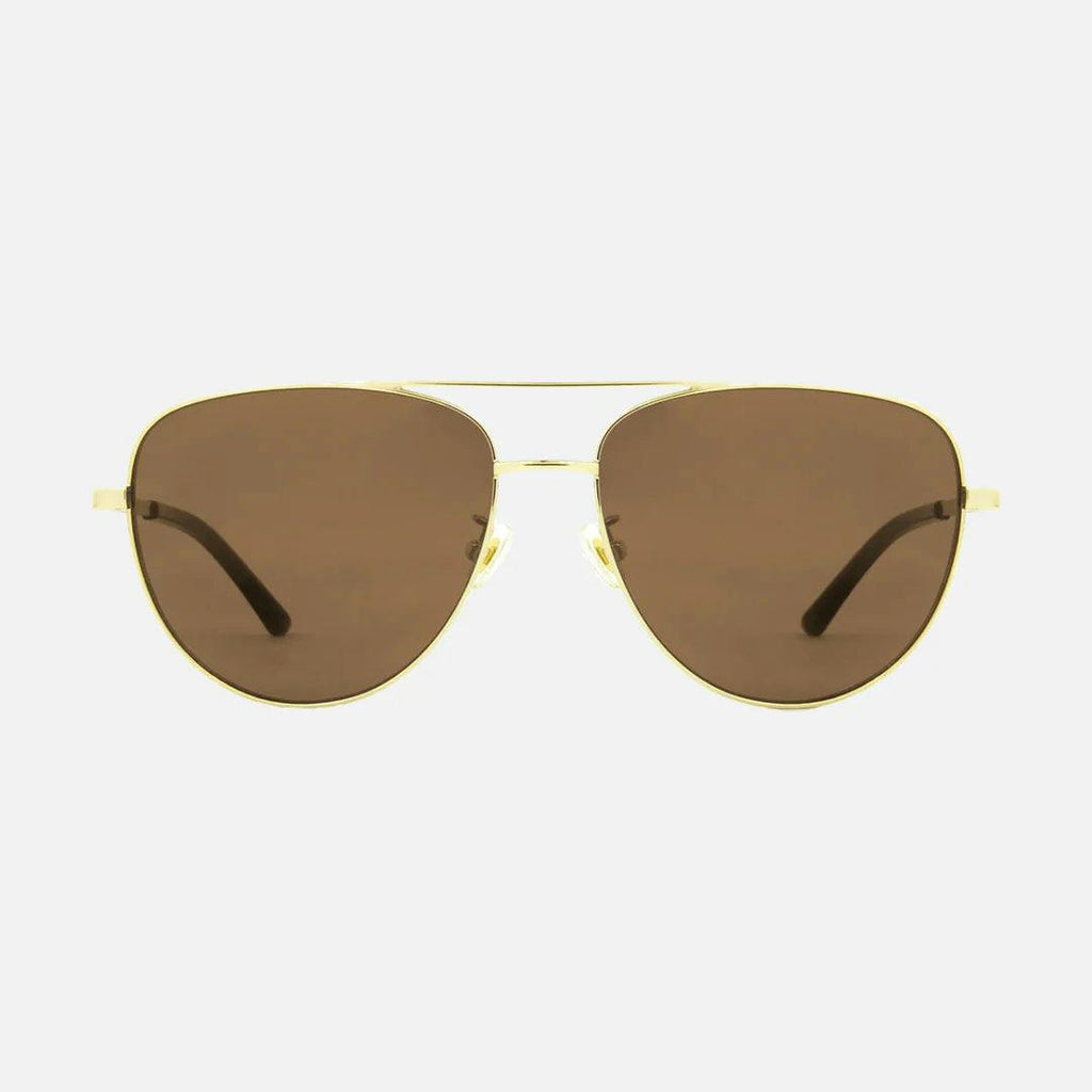 Solana - Gloss Gold Metal Brown POL Lens