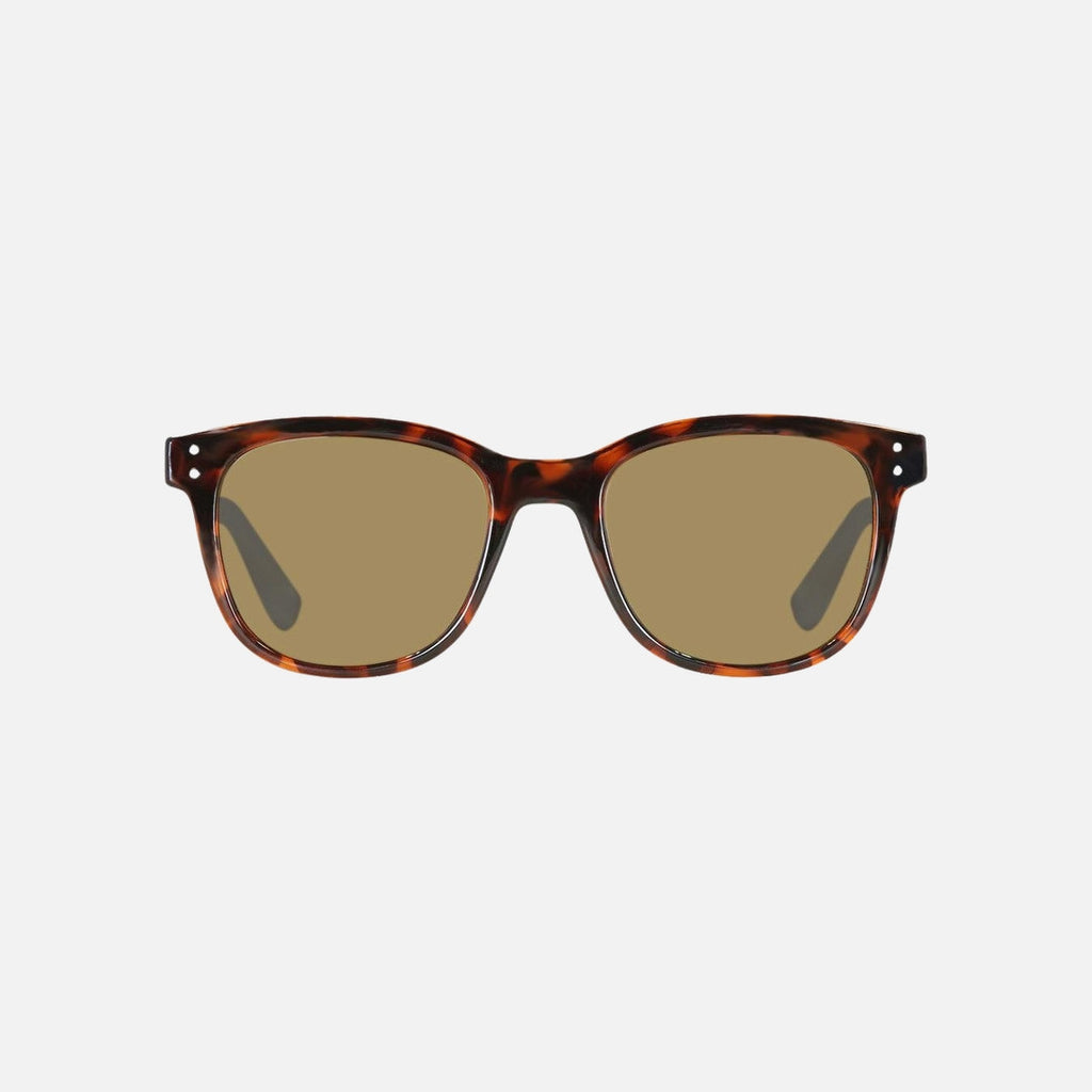 Homeland - Gloss Tort Frame Brown Polarized Lens