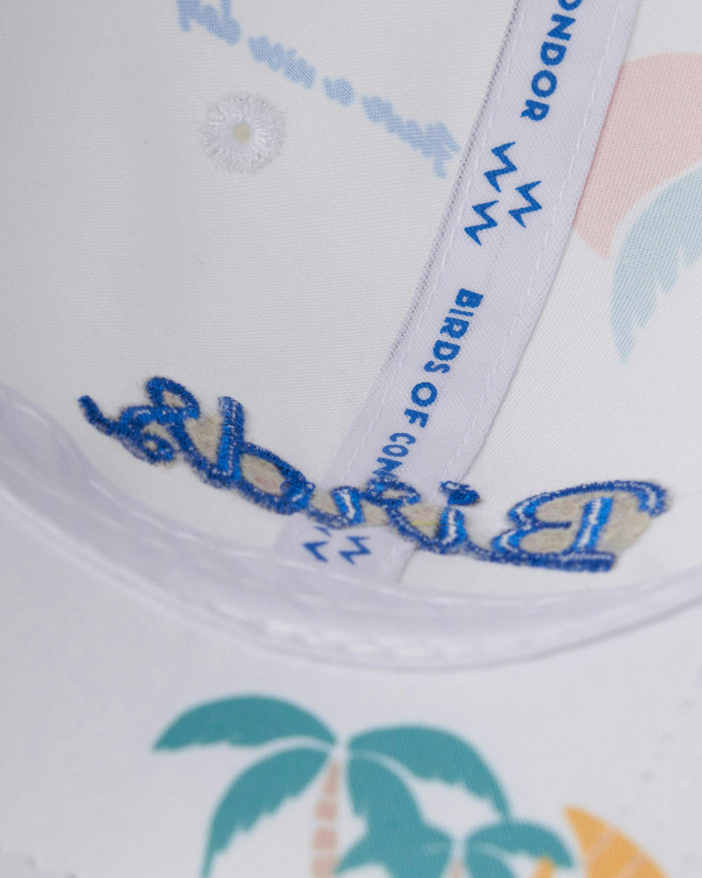 Fly Condor Cap