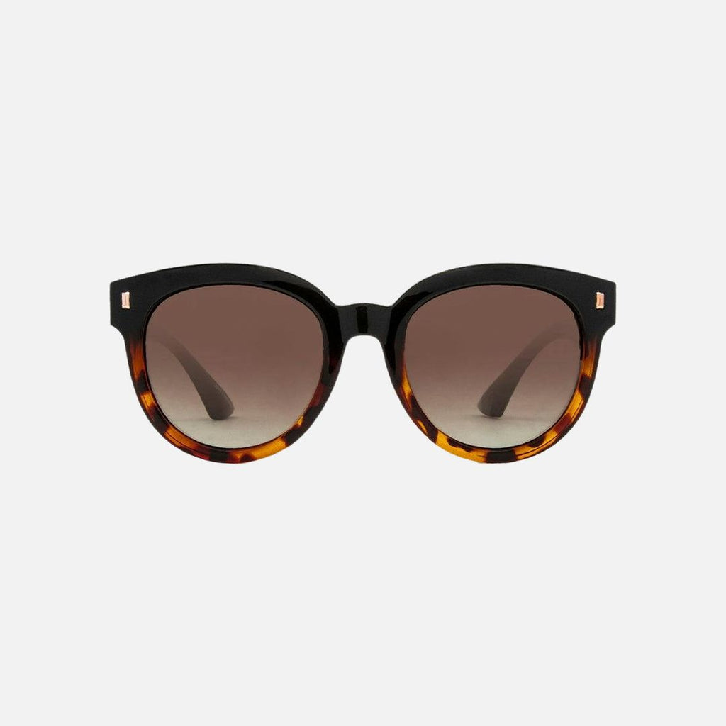 Harpo - Gloss Black Tort Brown Gradient -  Polarized
