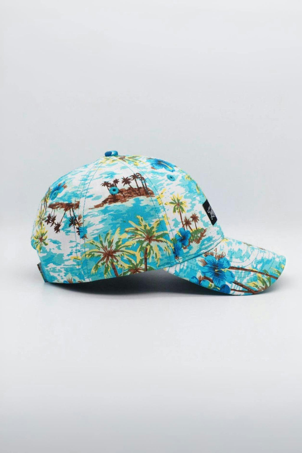 Maui Vintage Cap
