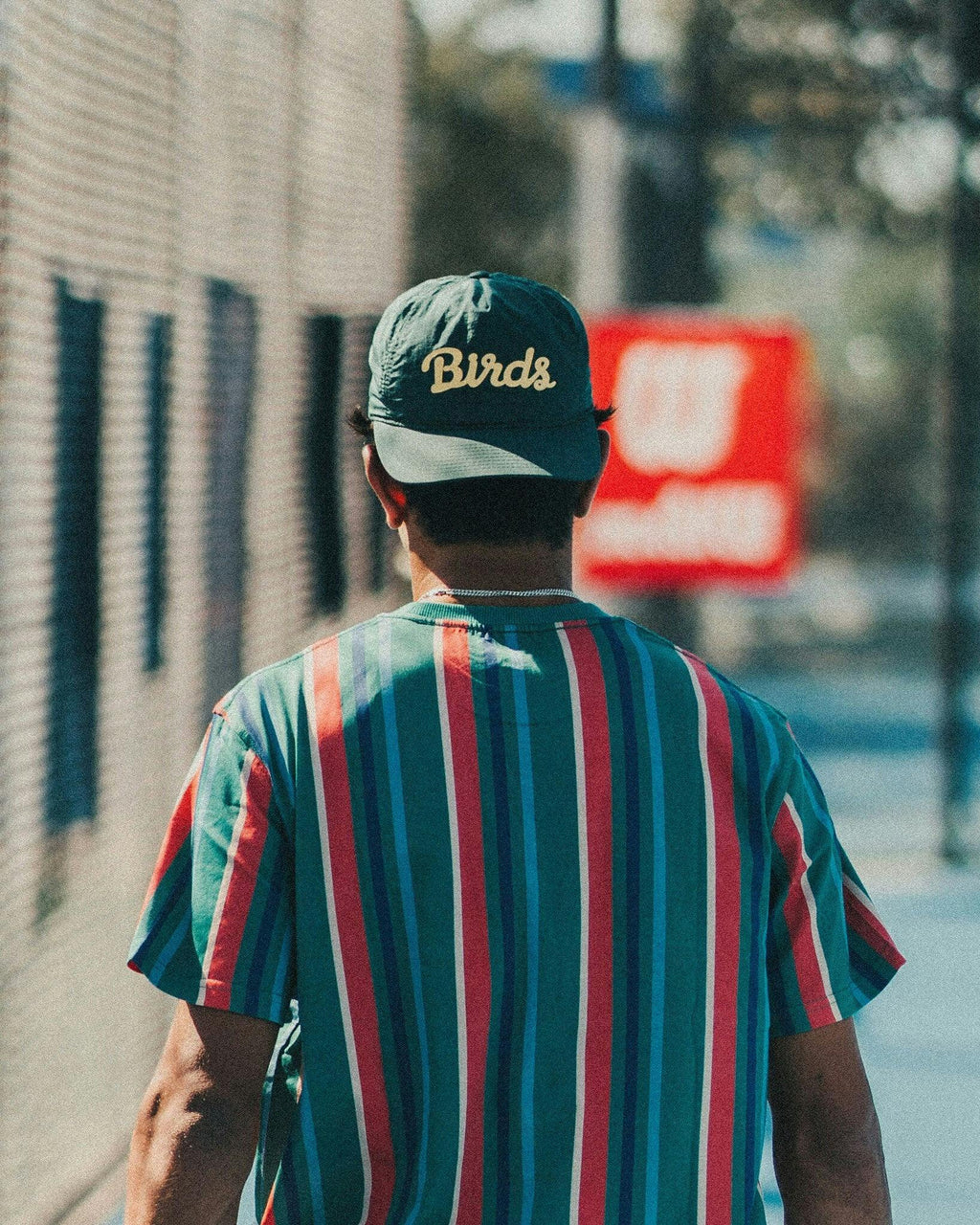 Birds Snapback